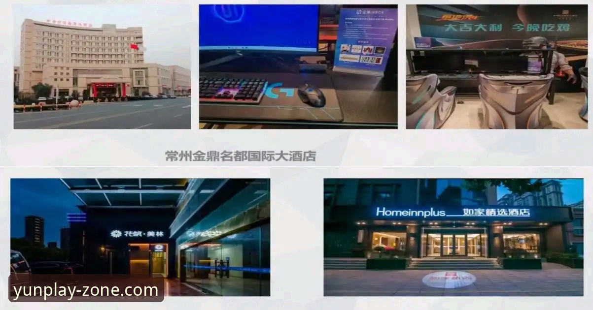 揭秘云体育最新动态对比：2025年版本迭代背后的真相